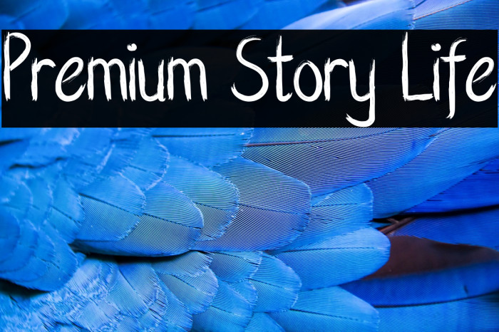 Premium Story Life Example 1