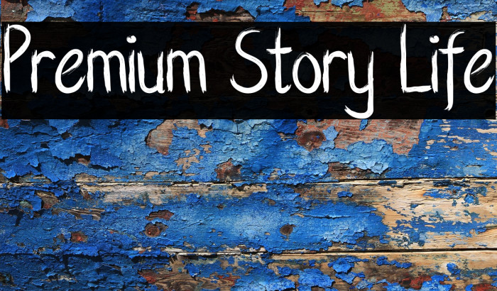 Premium Story Life Example 2