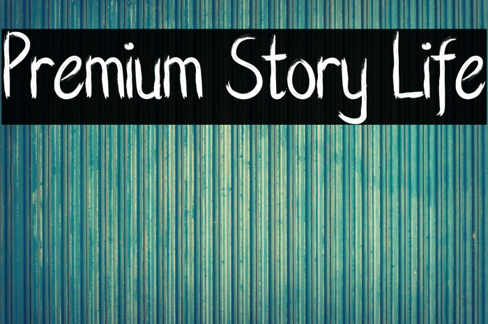 Premium Story Life Example 3