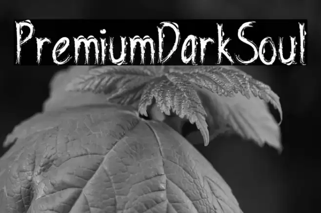 PremiumDarkSoul Font examples