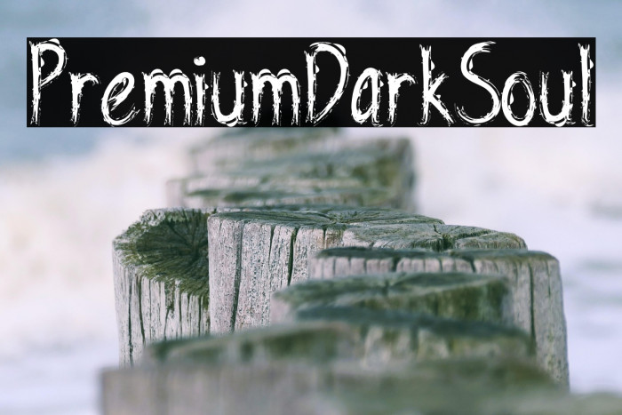 PremiumDarkSoul Example 3