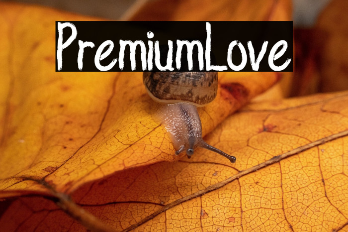 PremiumLove Example 1