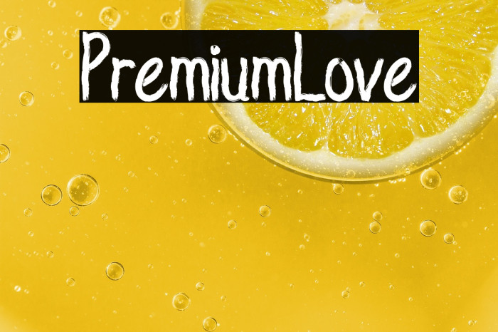 PremiumLove Example 3
