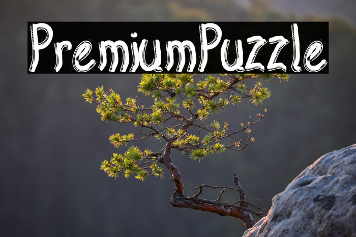 PremiumPuzzle Example 1