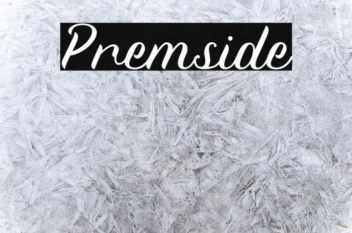 Premside Example 2
