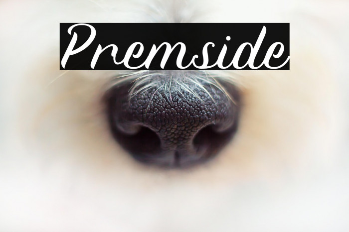 Premside Example 3