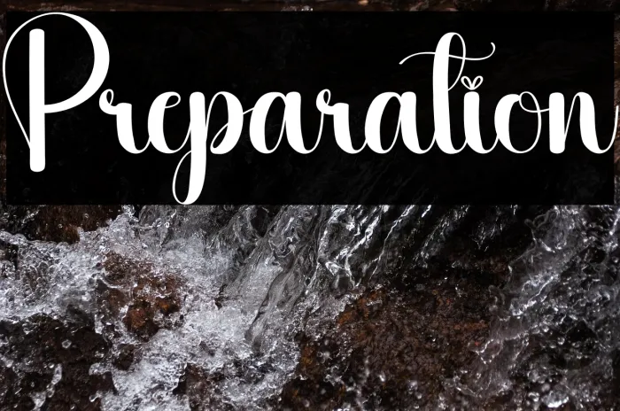 Preparation Example 2