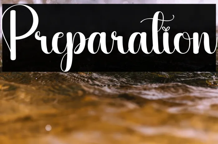 Preparation Example 3