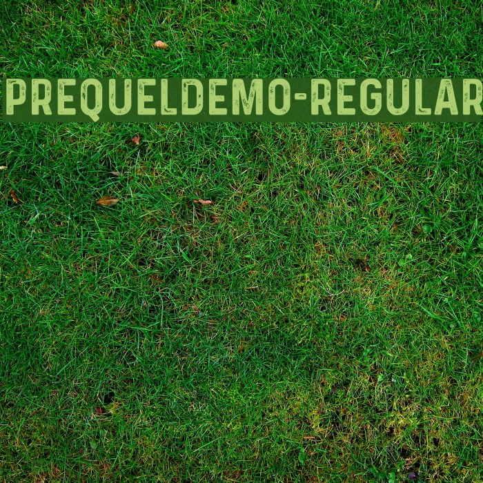 PrequelDemo-Regular Font examples