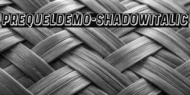 PrequelDemo-ShadowItalic Font examples