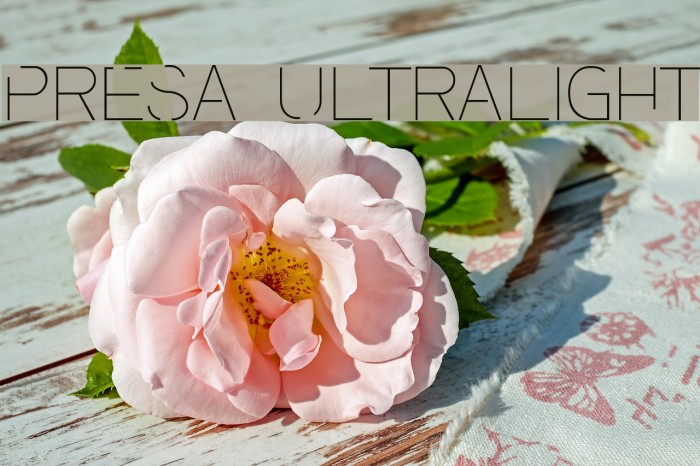 Presa Ultralight Font examples