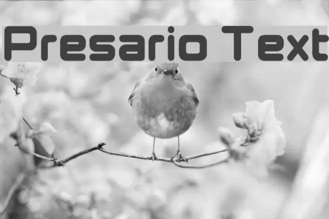 Presario Text Font examples