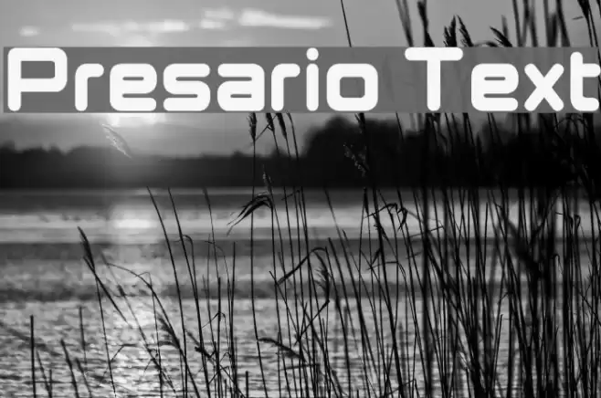 Presario Text Font examples