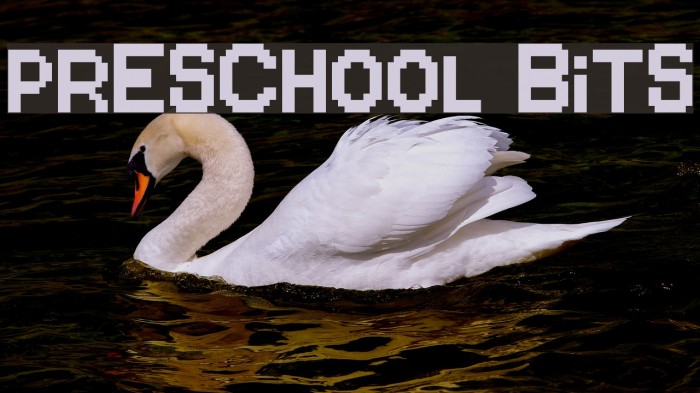 Preschool Bits Example 1