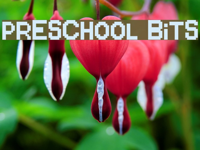 Preschool Bits Example 2