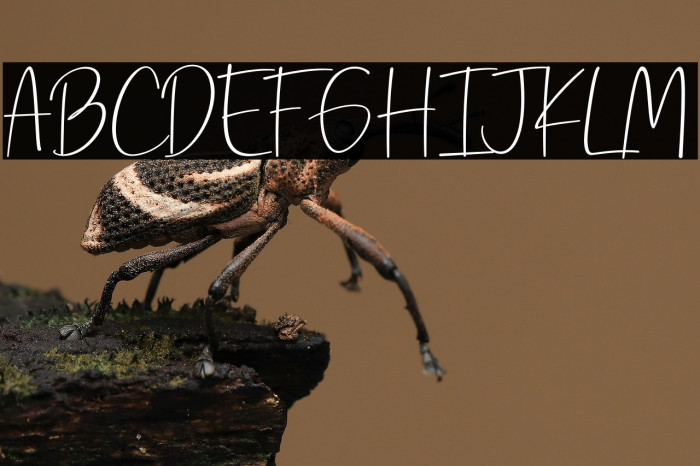 Prescious Soul Example 1