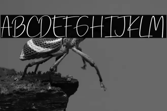 Prescious Soul Font examples