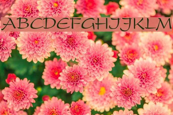 Prescript Font examples