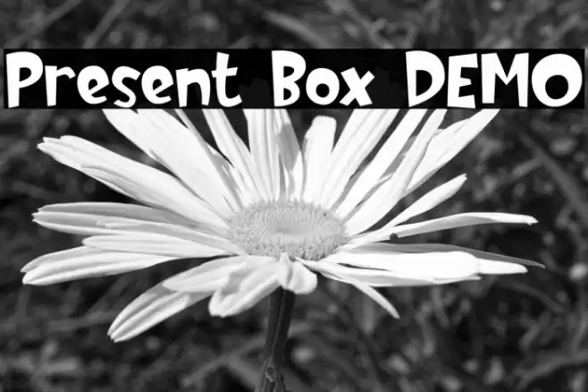 Present Box DEMO Font examples