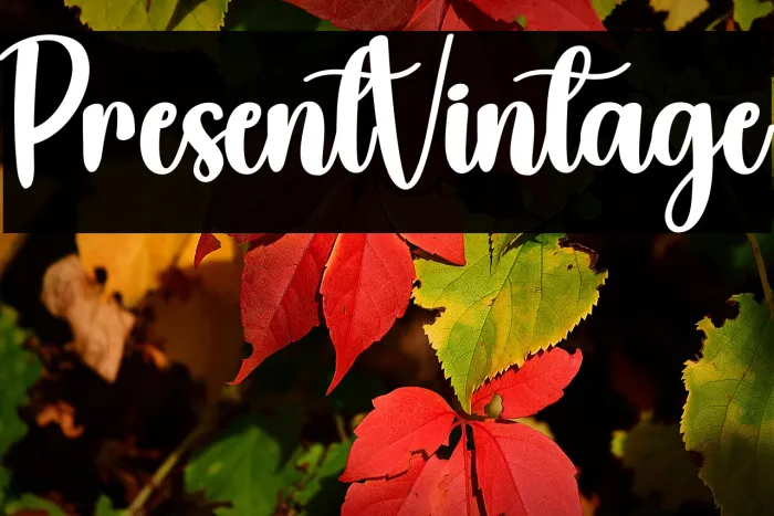 Present Vintage Example 3