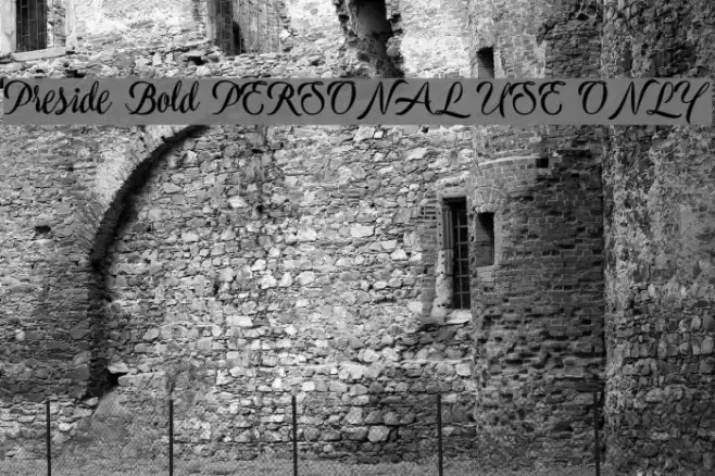 Preside Bold PERSONAL USE ONLY Font examples