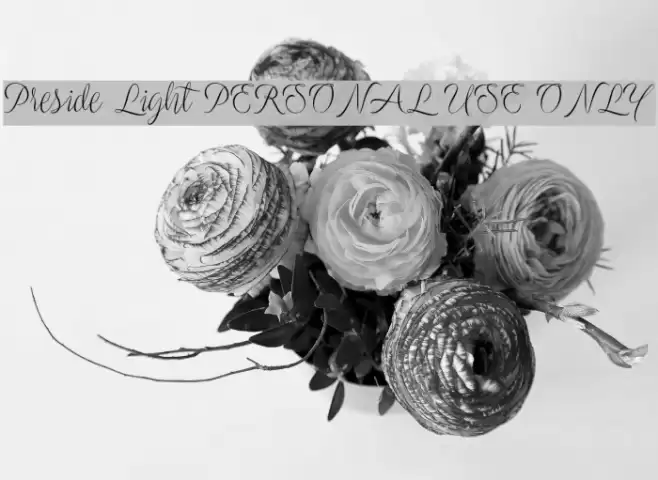 Preside Light PERSONAL USE ONLY Font examples