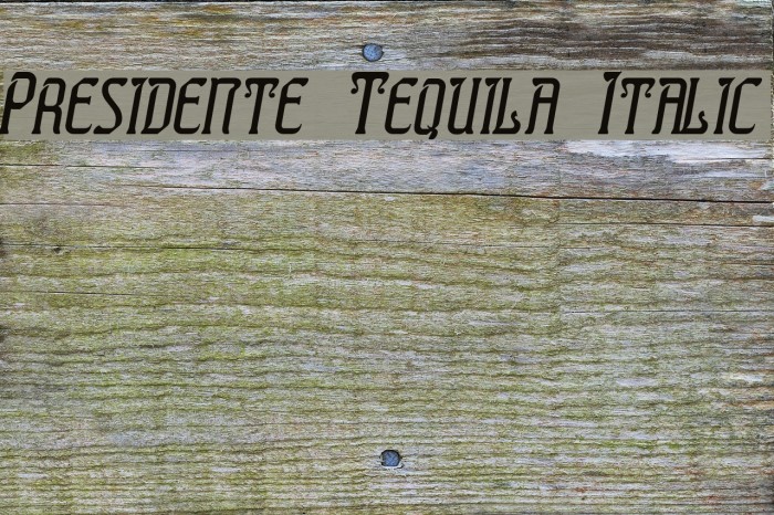 Presidente Tequila Italic フォント examples