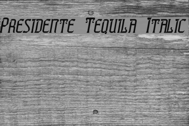 Presidente Tequila Italic Font examples