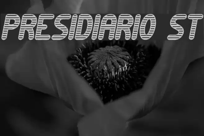 Presidiario St Font examples
