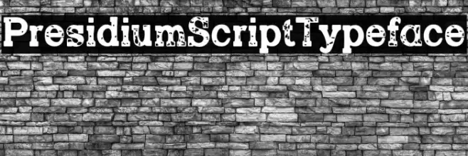 PresidiumScriptTypeface Font examples