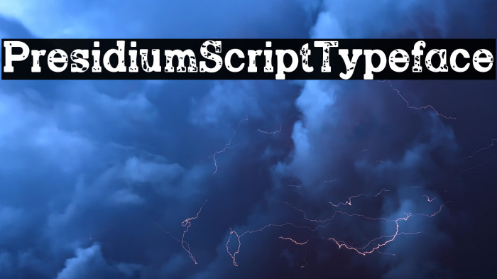 PresidiumScriptTypeface Example 3