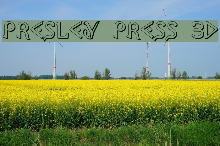 Presley Press 3D Font examples