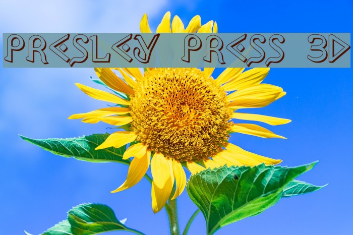 Presley Press 3D Font examples