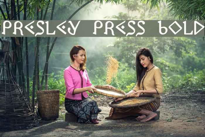 Presley Press Bold Font examples