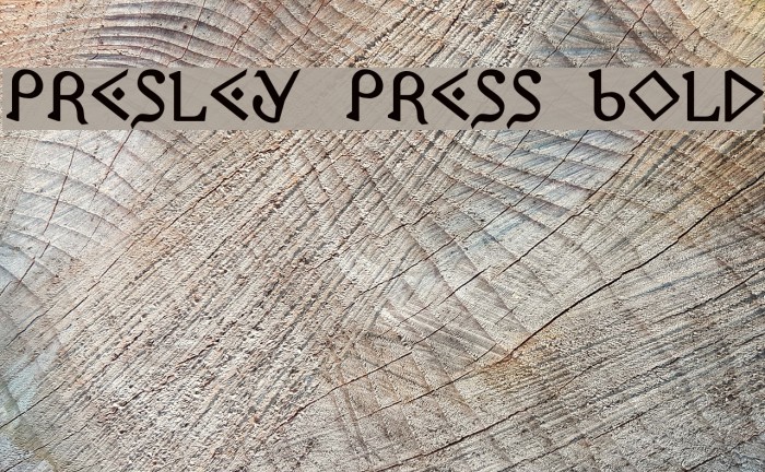 Presley Press Bold Font examples