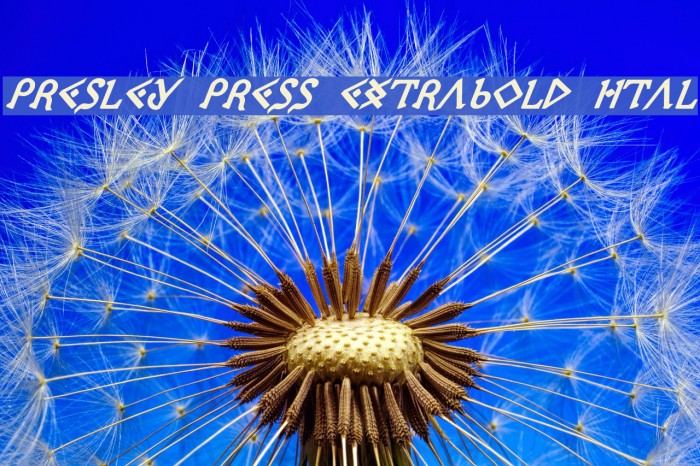 Presley Press ExtraBold Ital フォント examples