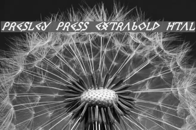 Presley Press ExtraBold Ital フォント examples