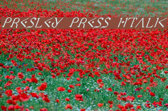 Presley Press Italic Font examples