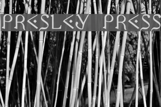 Presley Press Fuentes examples