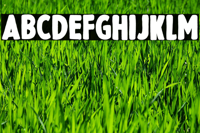 Presque Normal Font examples