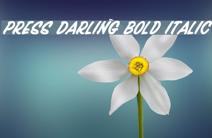 Press Darling Bold Italic Font examples