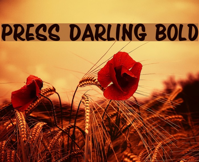 Press Darling Bold Font examples
