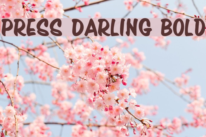 Press Darling Bold Font examples