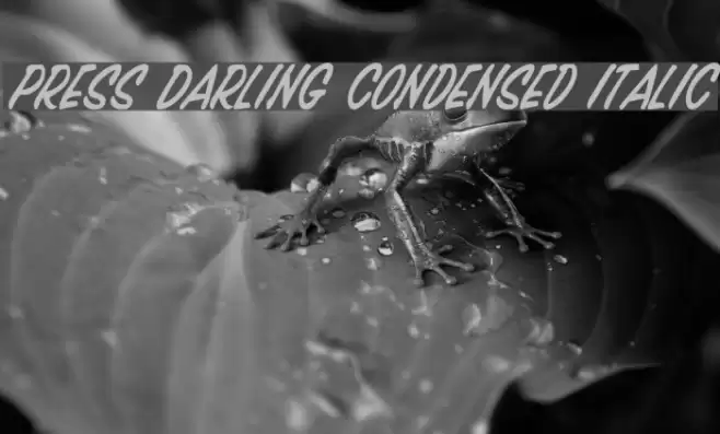 Press Darling Condensed Italic Font examples