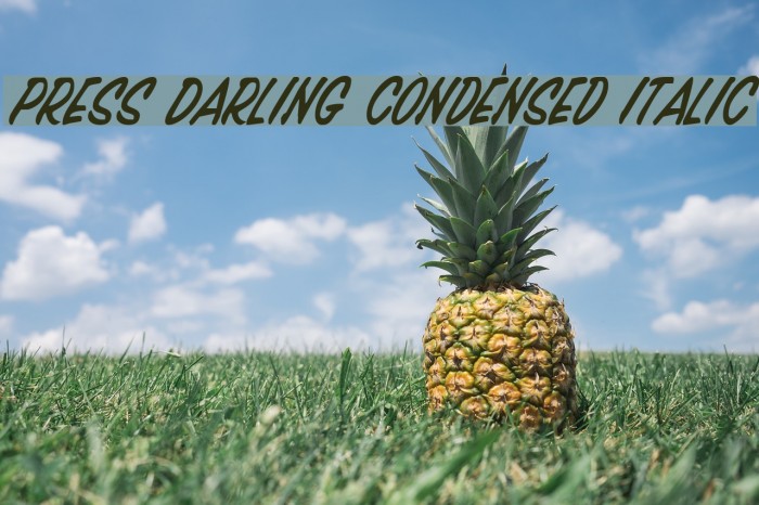 Press Darling Condensed Italic Font examples