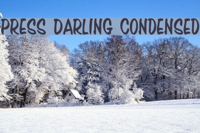 Press Darling Condensed Font examples