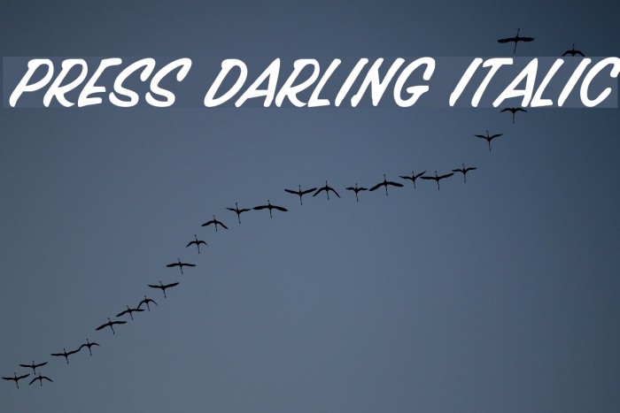 Press Darling Italic Font examples