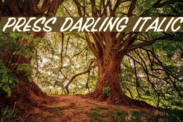 Press Darling Italic Font examples