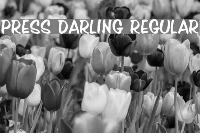 Press Darling Regular Font examples