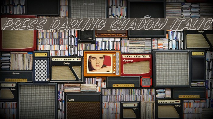 Press Darling Shadow Italic Font examples